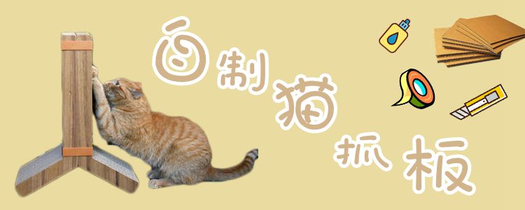 自制猫抓板