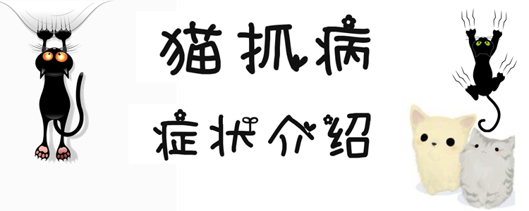 猫抓病症状有哪些
