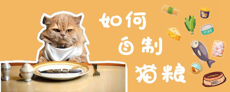 如何自制猫粮