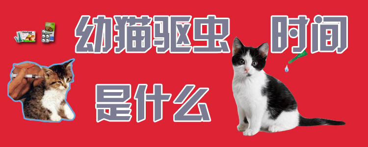 幼猫驱虫时间是什么