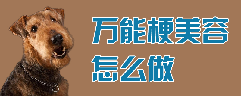 万能梗美容怎么做