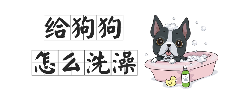 给狗狗怎么洗澡
