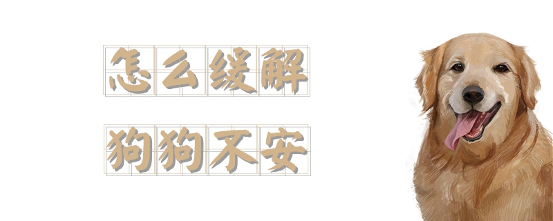 怎么缓解狗狗不安