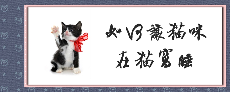 如何让猫咪在猫窝睡