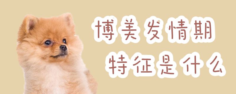博美发情期特征是什么