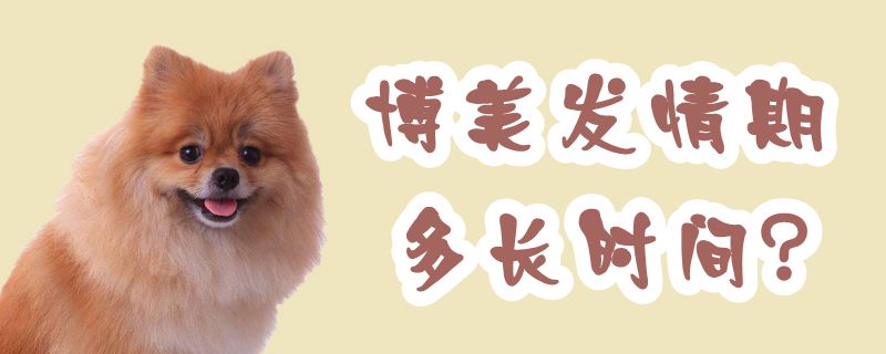博美发情期多长时间