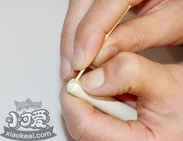 柯基怎么断尾 柯基犬断尾教程4