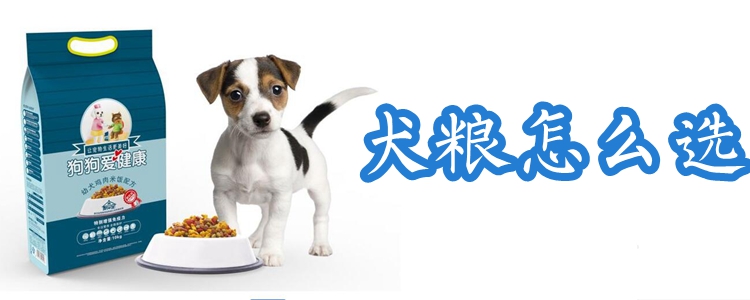 犬粮怎么选