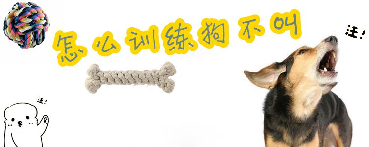 怎么训练狗不叫