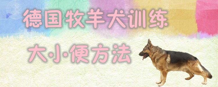 德国牧羊犬训练大小便有哪些方法
