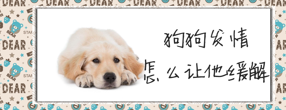 狗狗发情怎么让他缓解