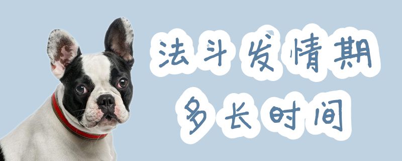 法斗发情期多长时间