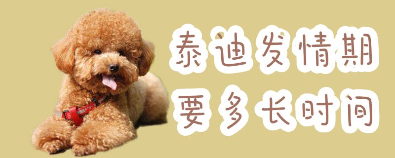 泰迪发情期要多长时间