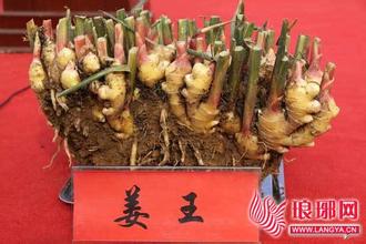 姜王调料