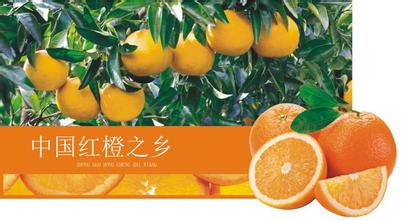 廉江红橙