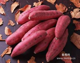 水步（四九）香薯