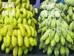 香蕉、大蕉
