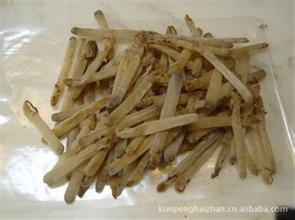 沙虫干