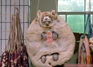 腊狗
