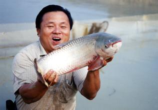 大湾麦溪鲤