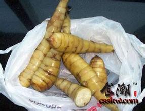 姜薯