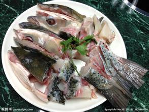 中山脆肉鲩