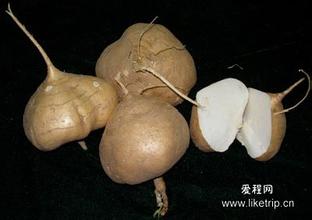 宾亨沙葛