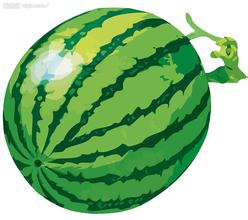 鹤山西瓜