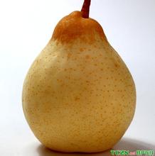 盘古鸭梨