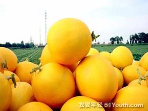 “金都”蜜瓜