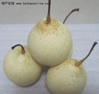 晋州鸭梨