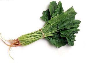 菠菜