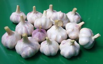 大张大蒜