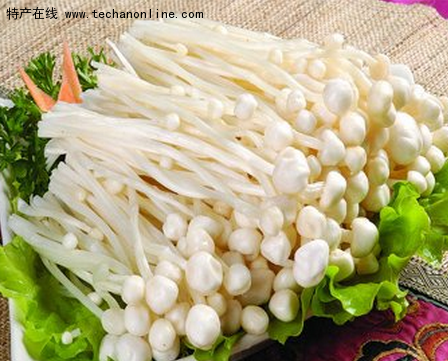 灵寿金针菇