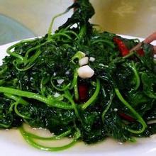 平定豆叶菜