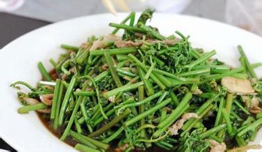 承德山菜