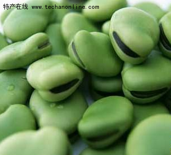 崇礼蚕豆