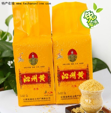 洪井三皇小米