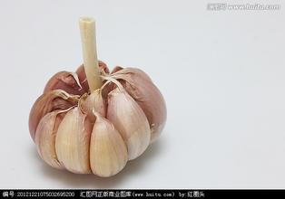 灵丘大蒜