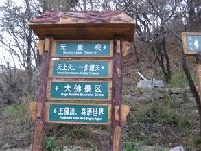 明珠红果