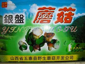 营盘蘑菇