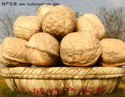 黎城核桃