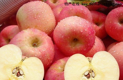 太子墓村苹果