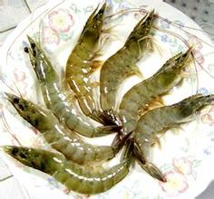 滦南对虾
