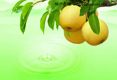 房山黄金梨