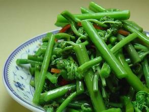 张家口蕨菜