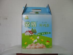 安格鸡蛋