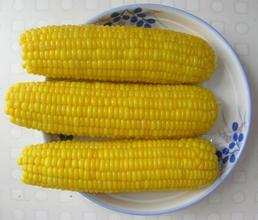 水果玉米