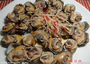 黄骅毛蚶