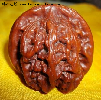 涞水麻核桃